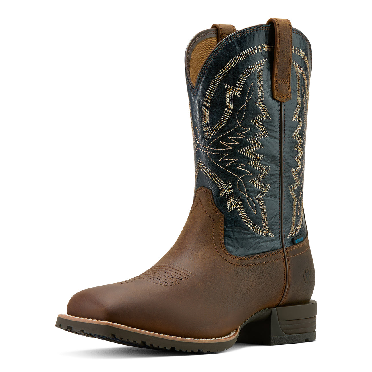 Hybrid ranchwork h20