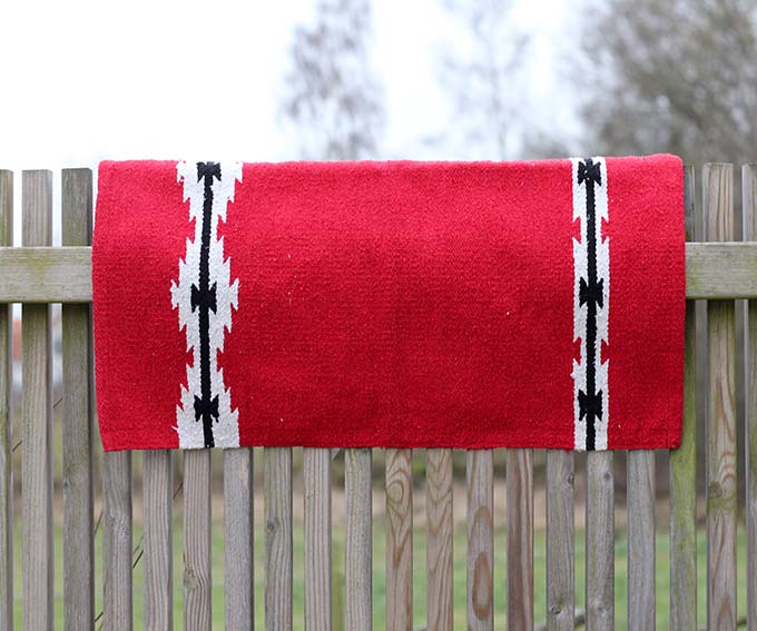 All That Saddle Blanket Pony