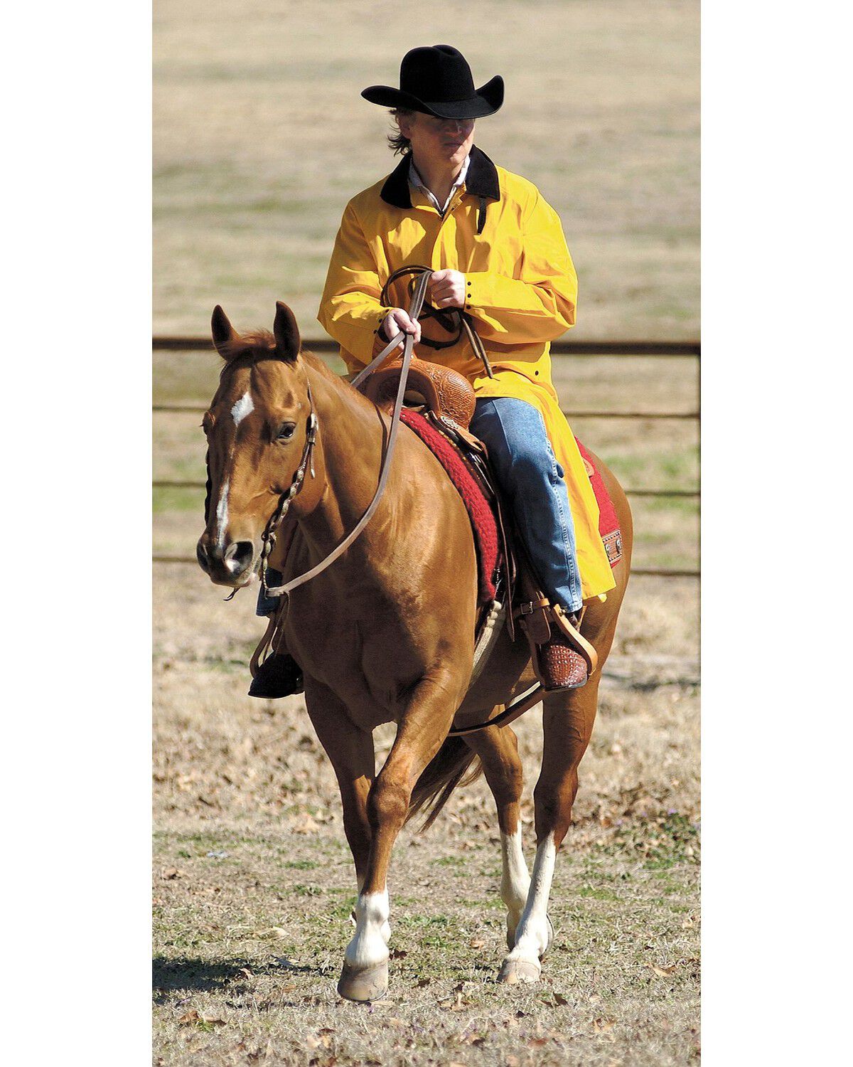 Double S Adult Saddle Slicker in Yellow