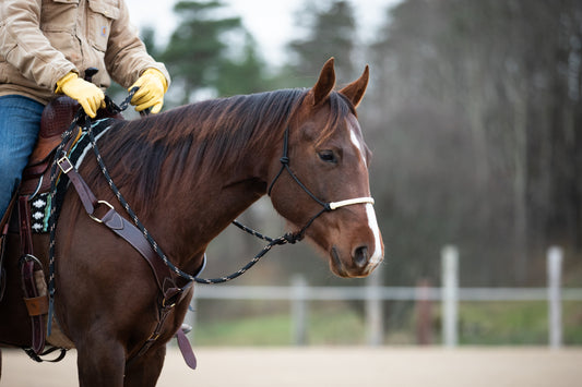 All That Horseman Braid Mecate - Black/Tan