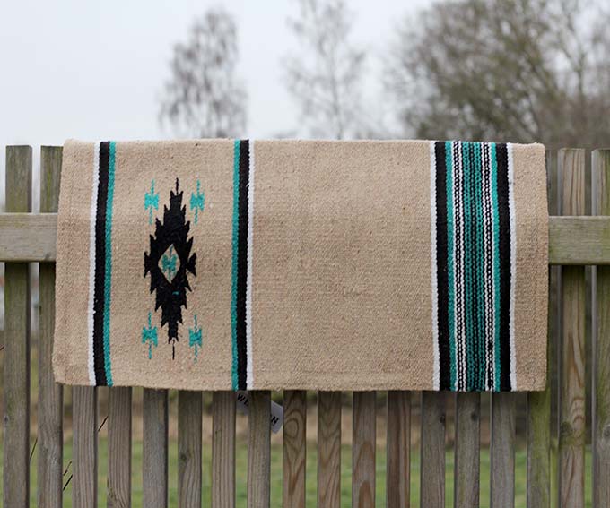 All That Saddle Blanket Pony