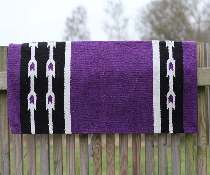 All That Saddle Blanket Pony