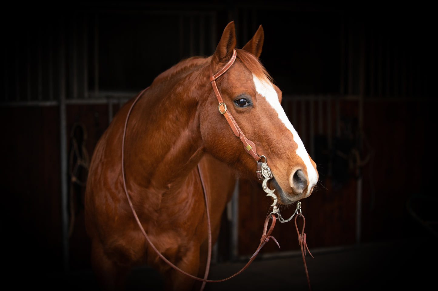 All That Nebraska Double Ear Headstall