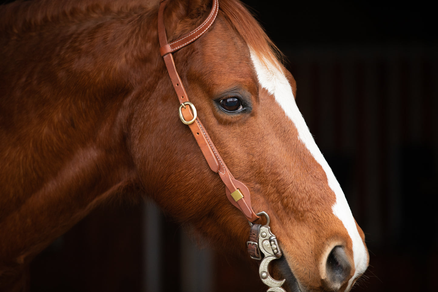 All That Nebraska Double Ear Headstall